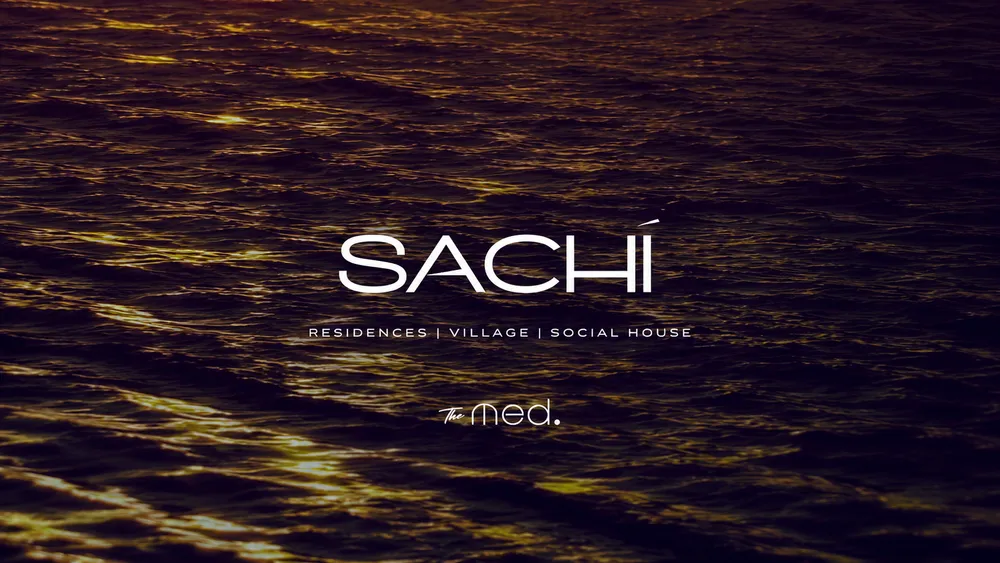 Sachi، image 2
