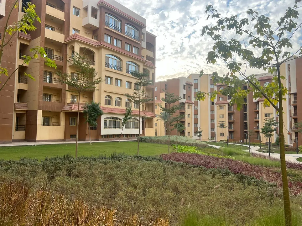 Avenue Al Maqsad Mall Dolmen Real Estate