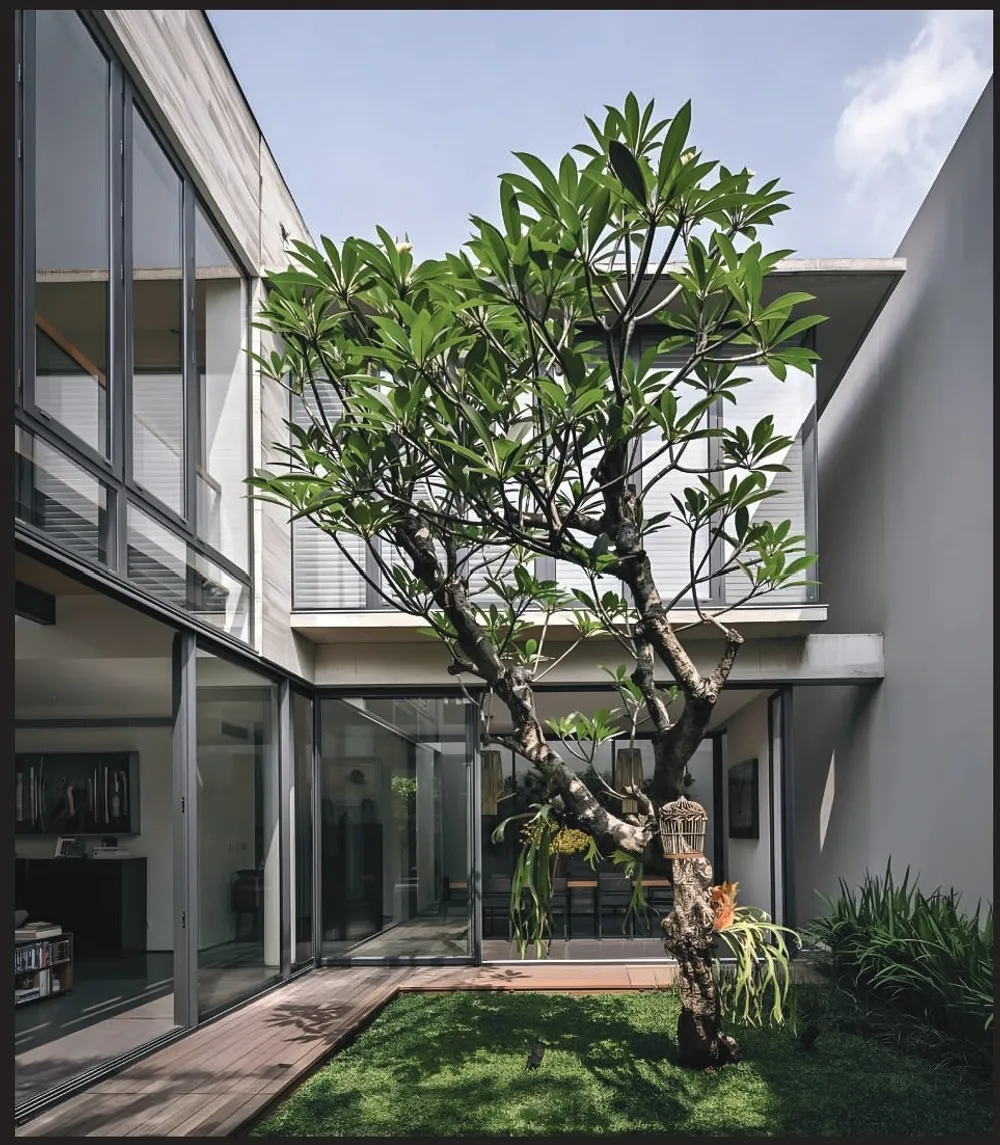 Belong October Compound Centrada Developments