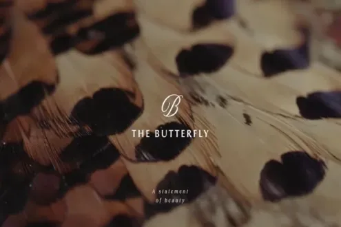 The Butter Fly Mostakbal City Compound Madinet Masr
