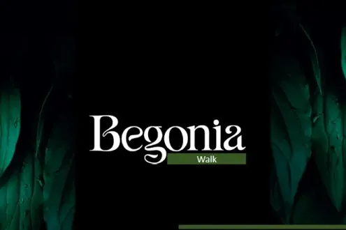 مول بيجونيا ووك القاهرة الجديدة منصات للتطوير العقاري - Begonia Walk Mall New Cairo