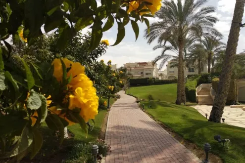 كمبوند الباتيو فيدا التجمع السادس لافيستا للتطوير العقاري - El Patio Vida New Cairo Compound