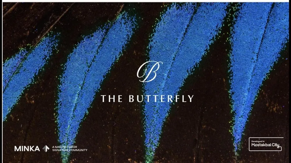 Pano Home - The Butterfly