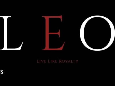 For sale in the most prestigious malls in the new capital Leo Tower