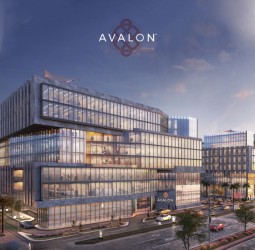 Receive Your Store In Avalon Mall With ​​80m