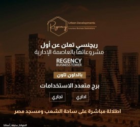 Get A Store In Regency Business Tower With ​​70m