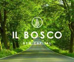 Il Bosco Il Bosco